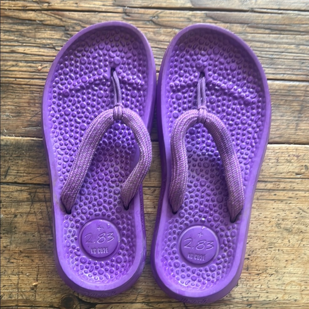 Purple Allbirds flip-flop